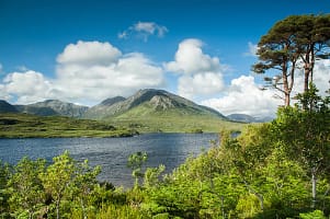 aW1hZ2VzLXR3ZC13aGl0ZWxhYmVsLXByZC9kZWpvbmdpbnRyYS9hSFIwY0hNNkx5OXBiV0ZuWlhNdVpHVnFiMjVuYVc1MGNtRXVibXd2WVhOelpYUXZhVzFoWjJVdk16RTVOalprTXpRdFpXSXpZaTAwWkRVNUxUaGxNV010WVdSbU5UTm1NRGc0TjJFM0wxY3ZTQQ