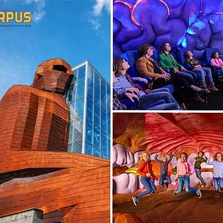 Corpus in Leiden waar je van alles leert over het menselijk lichaam