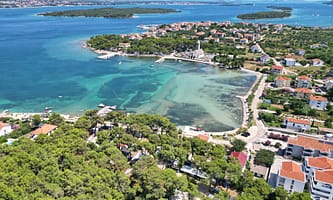 81c3131244f56.original