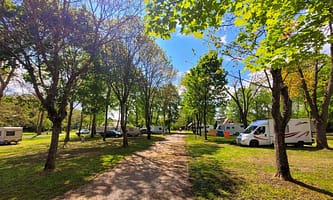 9c3fd19c53276.original