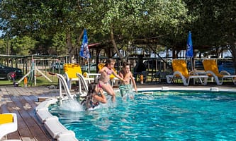 c85cd0ec8db36.original