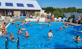 4e1fae4791576.original