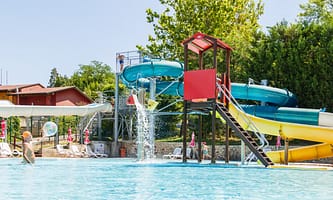 24e0c622ff616.original