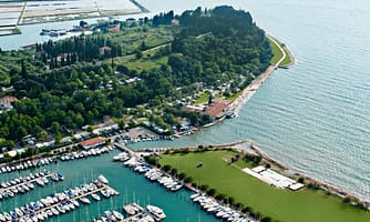 c25d69fa85856.original