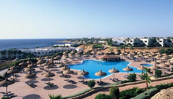 cck3odro6tnd2knz6xtj6c0lgdh6cthznxhz37uh