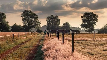 125780_af09c2b09802673bcae7781e34f26898