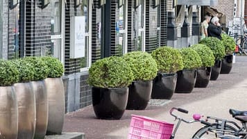 146863_efa2ea6da324895ce945e8f1025dbac8