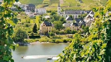 15646_b740786786474ec75abb638dc371443d