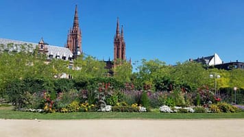 220460_20200806-120959