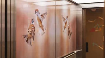 179347_d286dd17c2dc7abae02b6bb6b9d96077