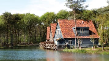 1024x576-boshuys-8-persoons-met-sauna-aan-het-water-overzicht