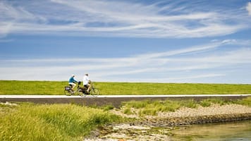 2319_6a07c787db7a9325efbf3c5afe40d122