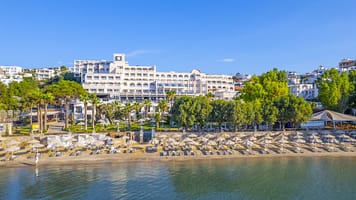 1ca2a1435d7878d963ecac88ef7f073d