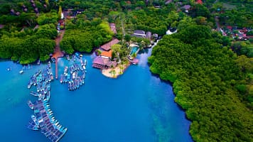 aW1hZ2VzLXR3ZC13aGl0ZWxhYmVsLXByZC9kZWpvbmdpbnRyYS9hSFIwY0hNNkx5OXBiV0ZuWlhNdVpHVnFiMjVuYVc1MGNtRXVibXd2WVhOelpYUXZhVzFoWjJVdk9HRXdaamM0WmpndE5URmxNaTAwT1RRd0xUbG1PR1F0TVRWbU5EaGtZekUxWXpCaUwxY3ZTQQ