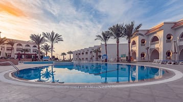 186c0b2e02d86faa9c804b9fcd072ecd