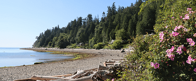 Banner-Sunshine-Coast-Sargeant-Bay-Provincial-Park