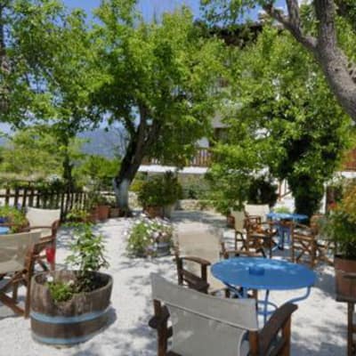 14538931433kamelia0362