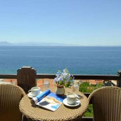 145389314316agnantistd