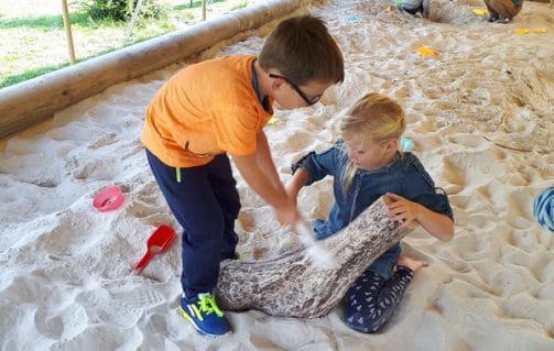 Zelf je dinobotten en -eieren opgraven in Dinopark Landgoed Tenaxx