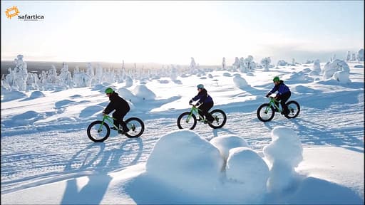 Avontuurlijk Flatbike in Oostenrijk
