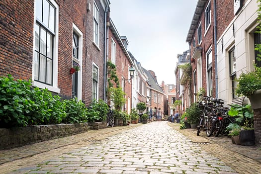 wandelen door gezellige straatjes Stedentrip Haarlem