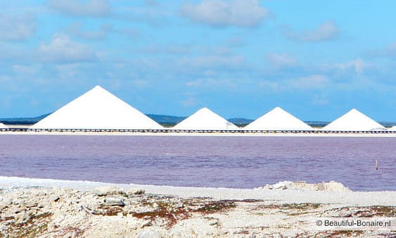 Zoutpannen Beautiful Bonaire