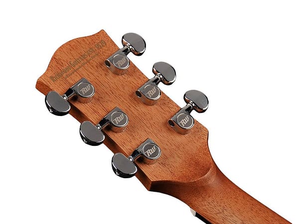 Tussen De layout Bacteriën Akoestische gitaar Richwood Custom Shop D-240 incl. Gigbag – ToTheMaxx Music