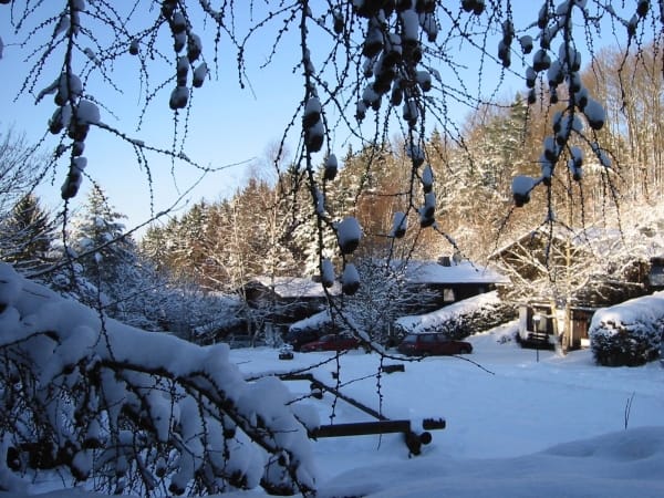 901362liggingwinter2