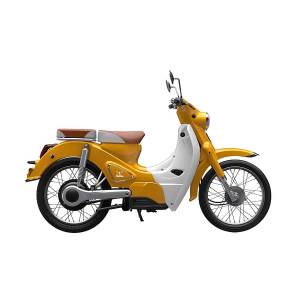 Etalian Classic Yellow White - Afbeelding 2