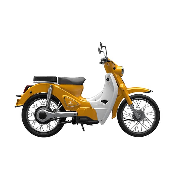 Etalian Classic Yellow White