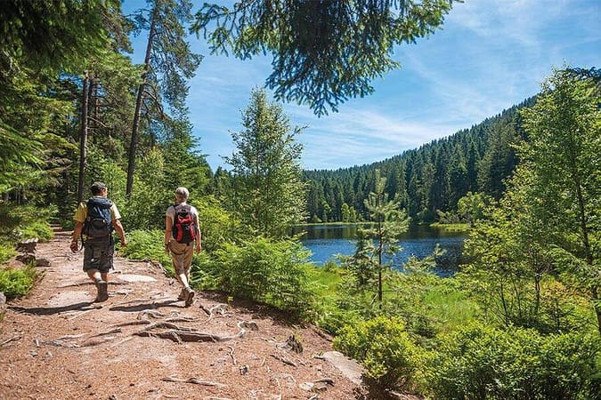 Vele wandelroutes in Zwarte Woud