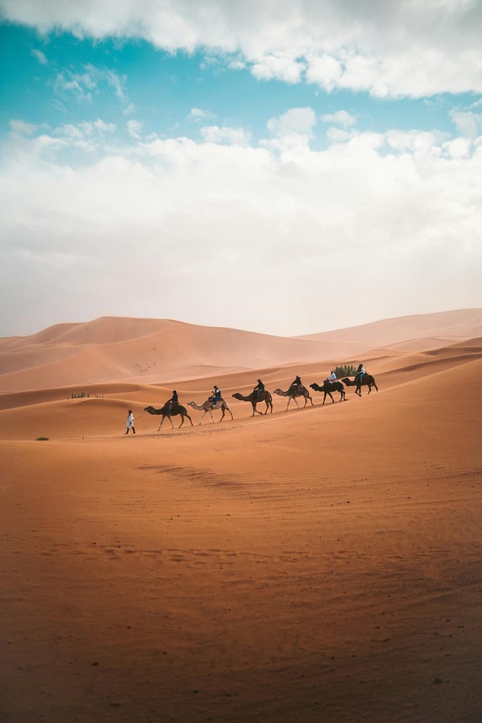 Indrukwekkende Sahara 