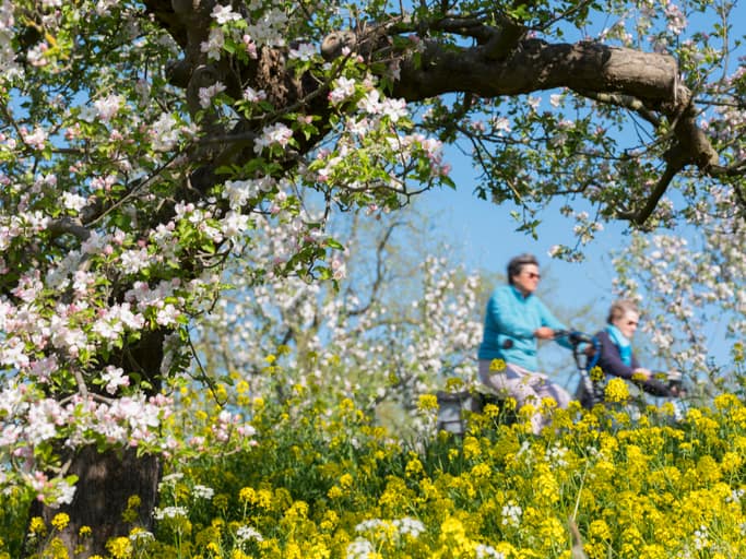 Mooiste fietsgebieden van Nederland, de Betuwe
