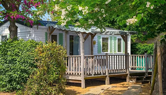 camping-paradis-la-pomme-de-pin-444241