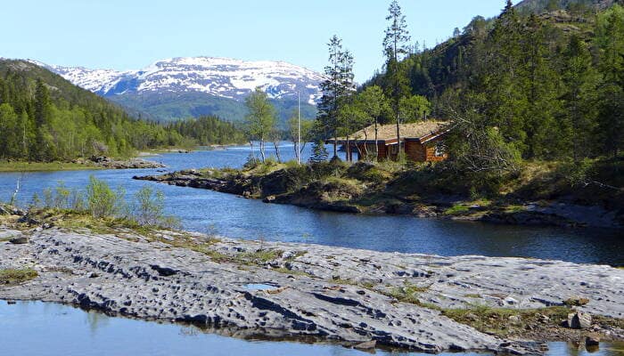velfjord-camping-hytter-146139