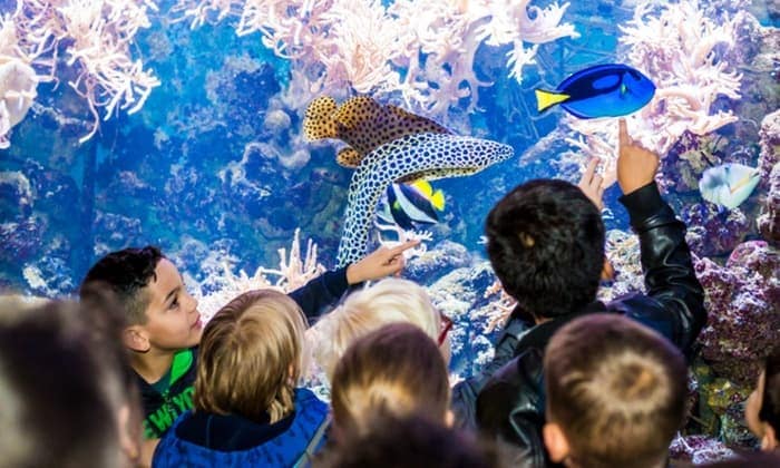 4 aquariums in Het Arsenaal in Vlissingen.