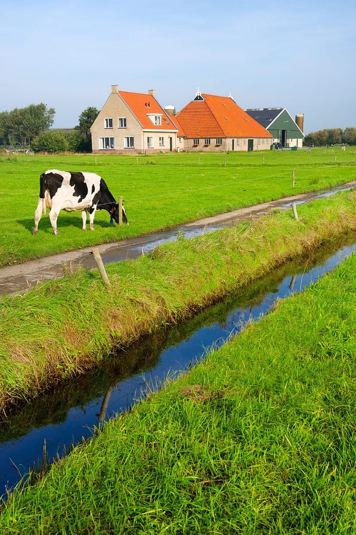 Lees meer over het artikel Verbouwing voor rekening bv was uitdeling van winst aan dga