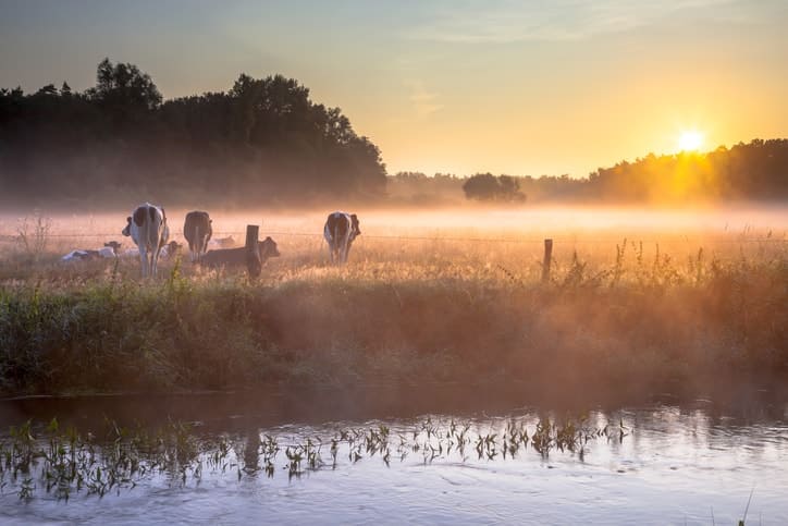 Dagje uit Overijssel