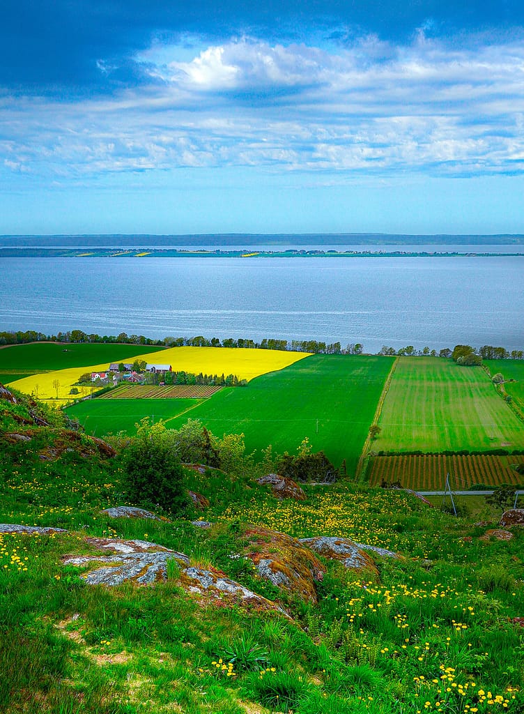 Camperreis Scandinavië Koolzaadvelden 
