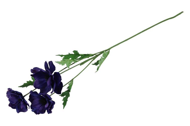 Anemone paars - Afbeelding 2