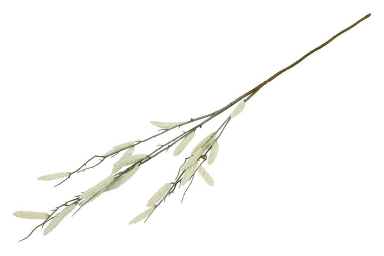 Salix wit - Afbeelding 2