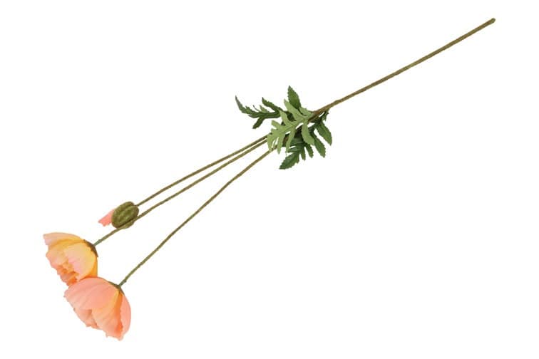 Bloem Papaver zalm - Afbeelding 2