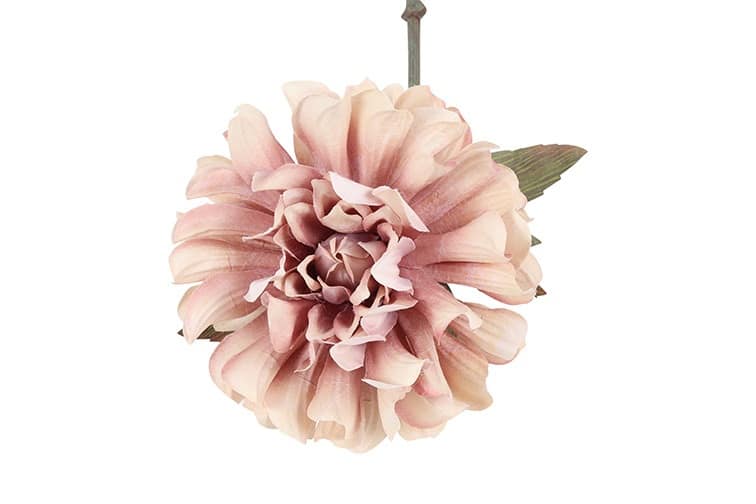 Dahlia roze - Afbeelding 2