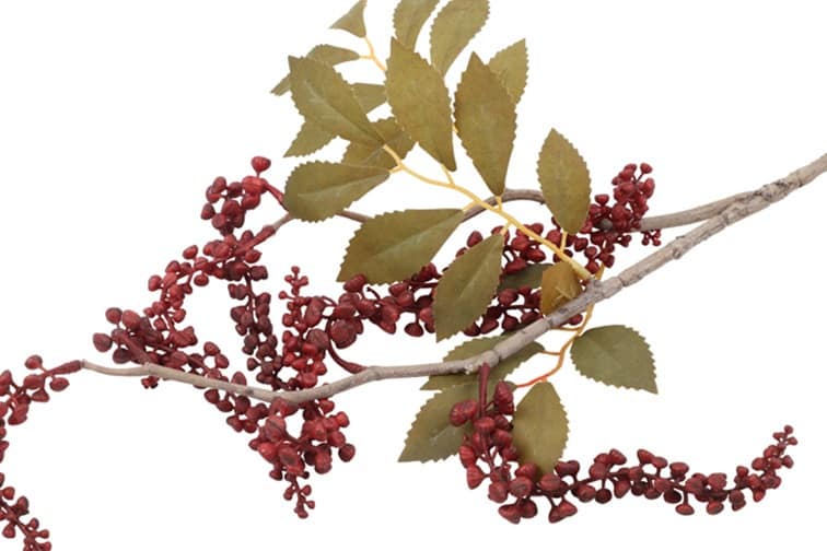 Bloem Phytolacca rood - Afbeelding 2