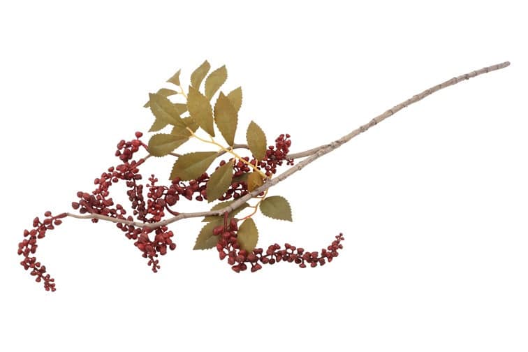 Bloem Phytolacca rood - Afbeelding 3