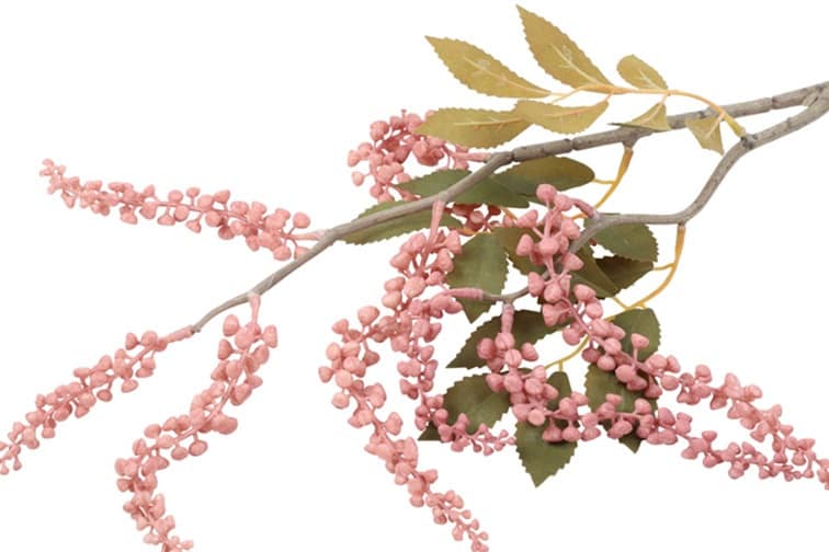 Bloem Phytolacca roze - Afbeelding 2