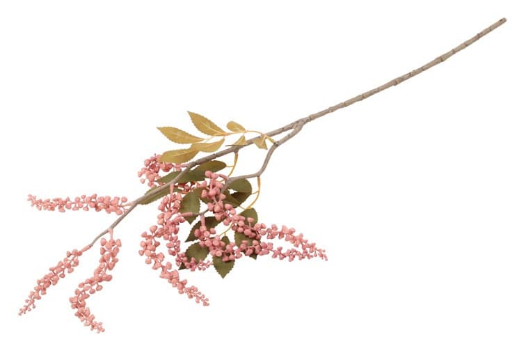 Bloem Phytolacca roze - Afbeelding 3