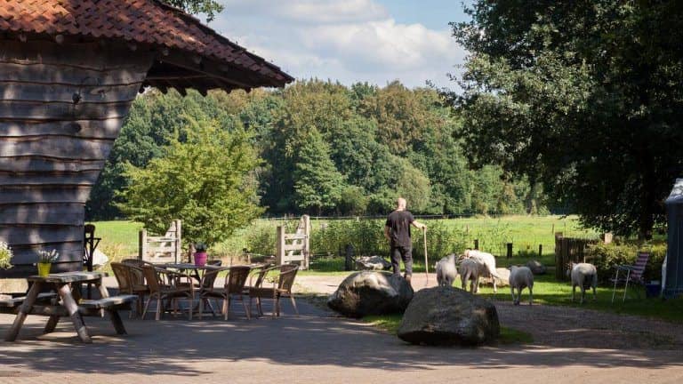 110537_13aed5eed920813ed8b9bd2b2f79f628