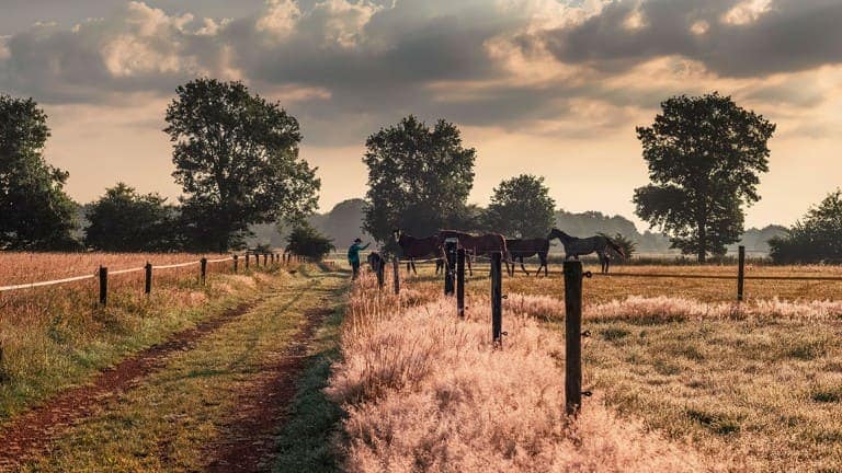 125780_af09c2b09802673bcae7781e34f26898