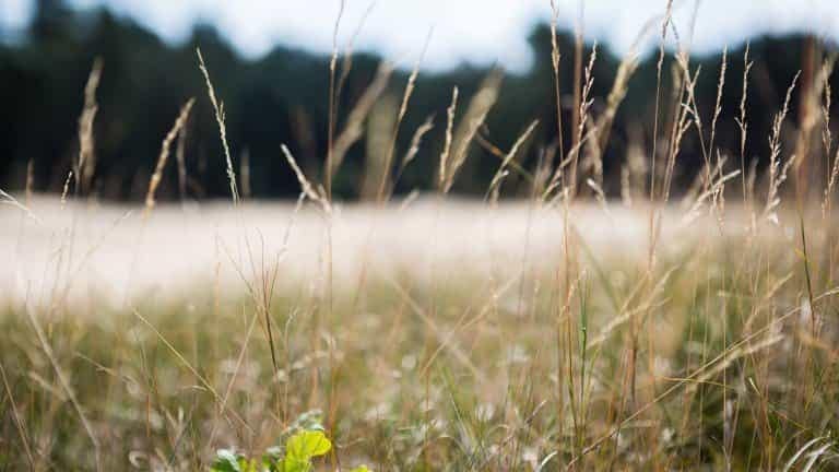 134730_14fb8ea0530e81c71ef57a956317b733